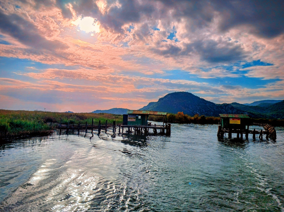Villa Duran Boat Trips-达利安必去景点
