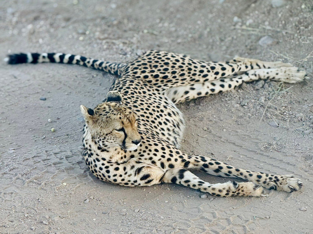 Earthlife Expeditions-阿鲁沙必去景点