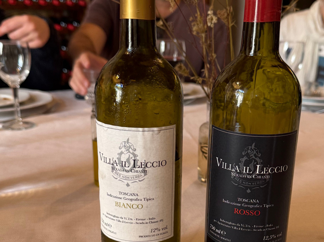 Agriturismo Villa il Leccio主图