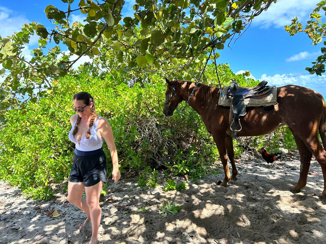 Spirit of the West-西湾必去景点