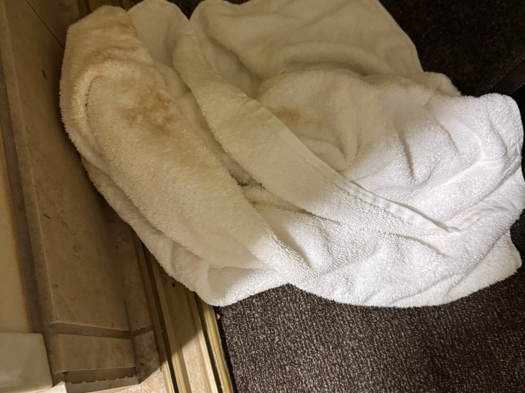 Hampton Inn & Suites Baton Rouge - I-10 East主图