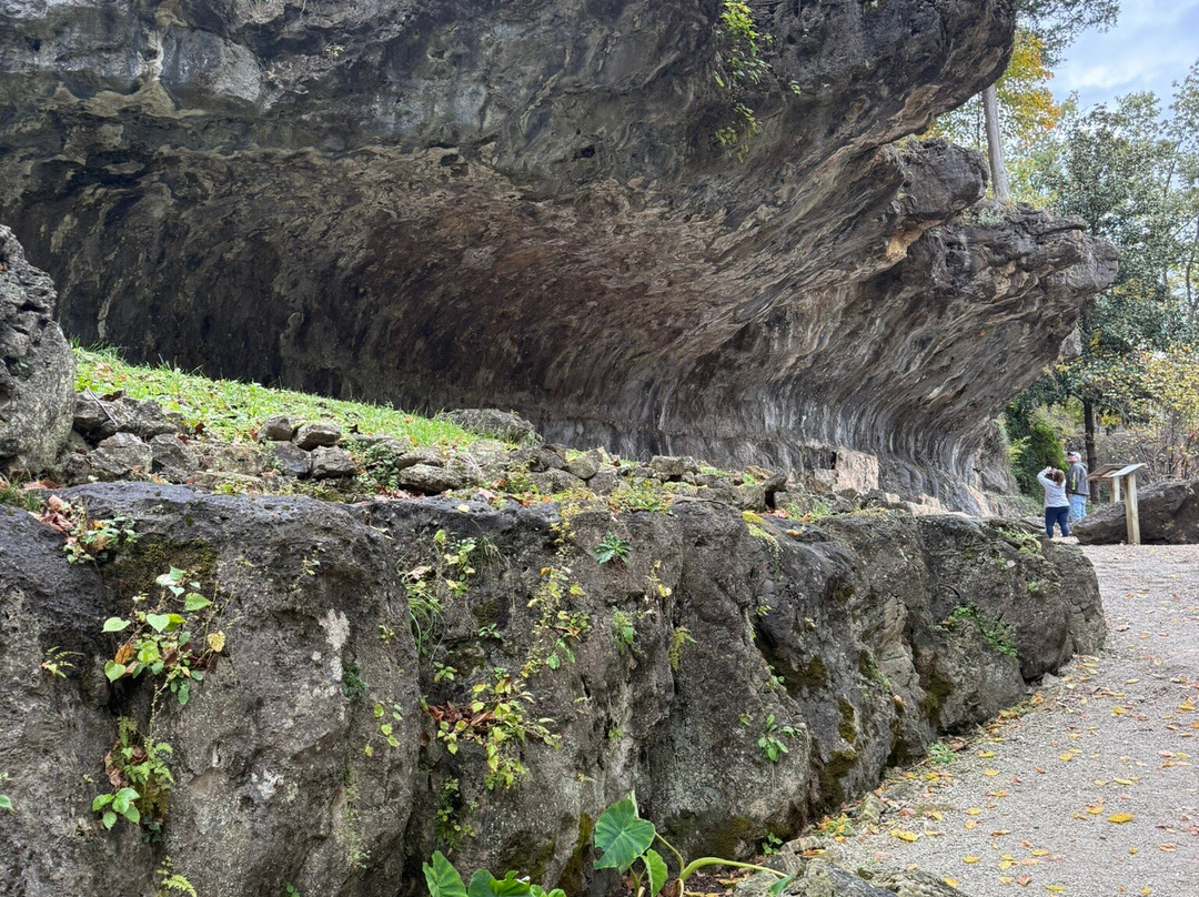 Blue Spring Heritage Center-尤里卡斯普林斯必去景点