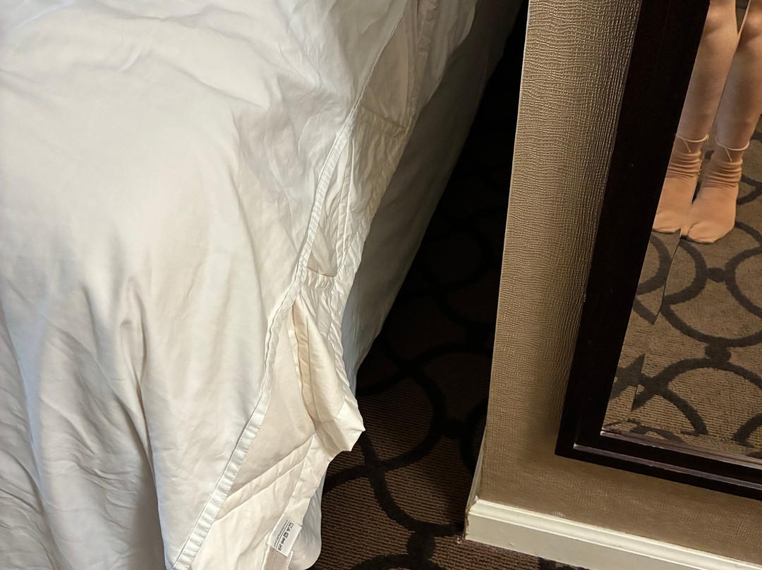 Sheraton Sonoma Wine Country Petaluma主图