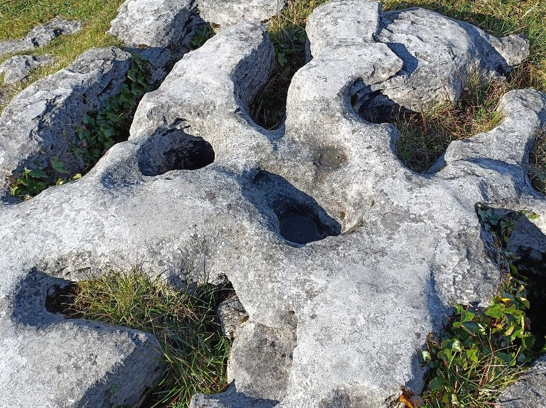 The Burren National Park-Corofin必去景点