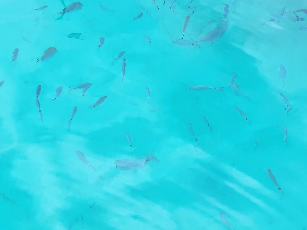 AKVILA TRAVEL COMPANY-Agios Georgios必去景点