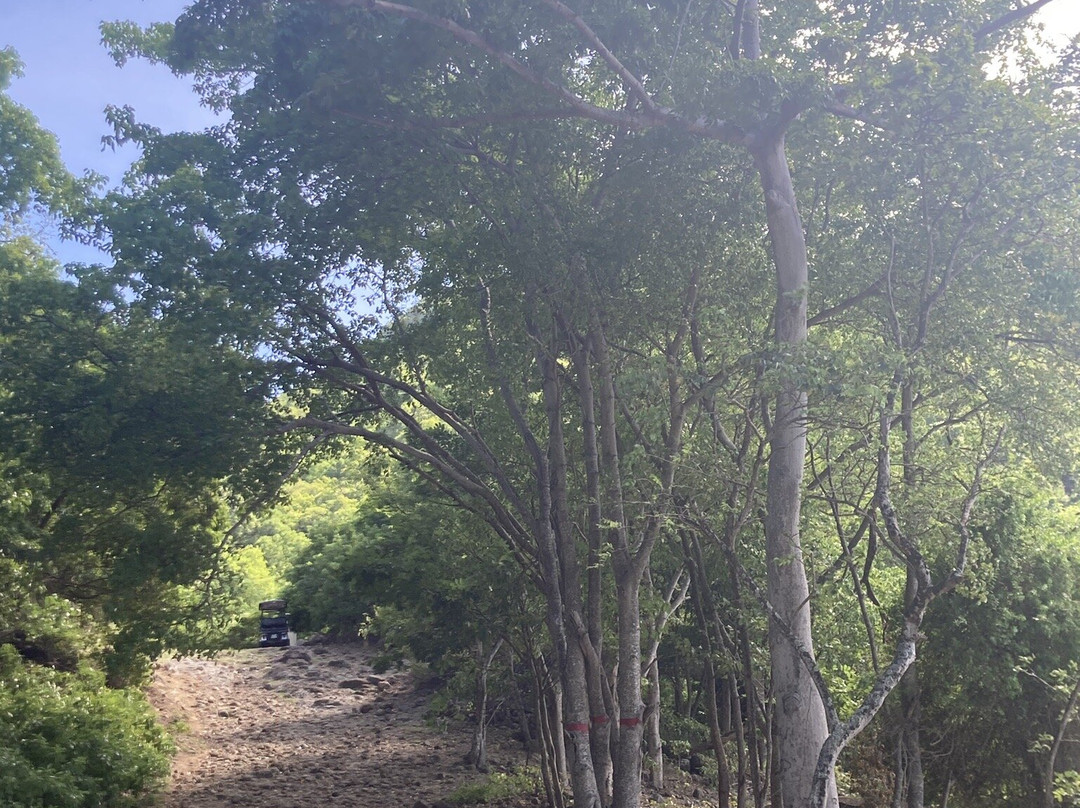 Crawen-Terre-de-Haut必去景点