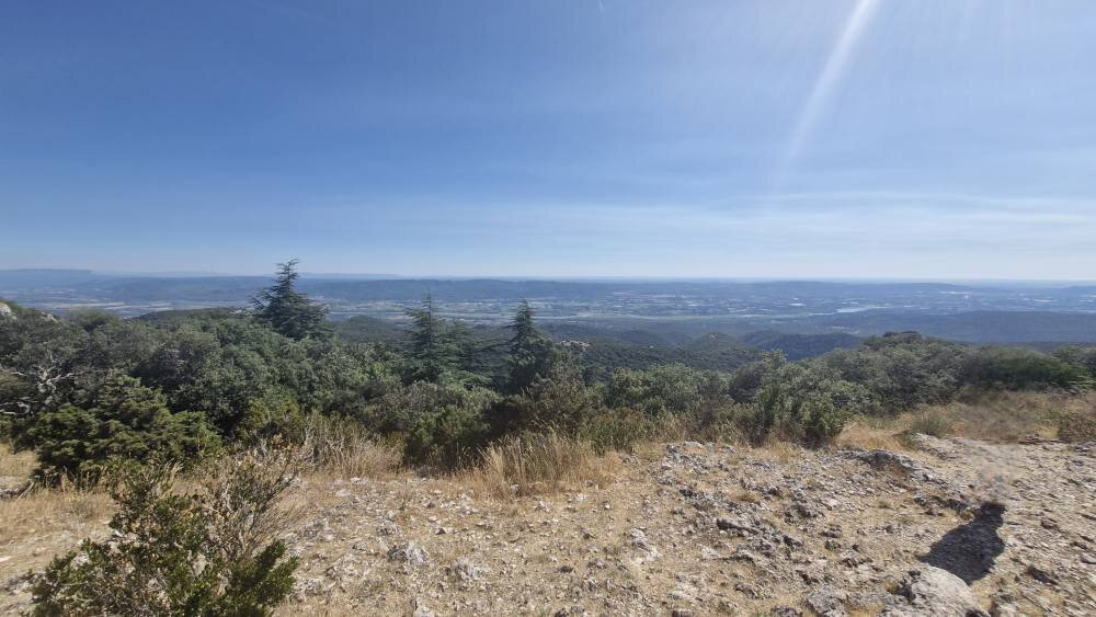 Forêt de Cèdres-Bonnieux必去景点