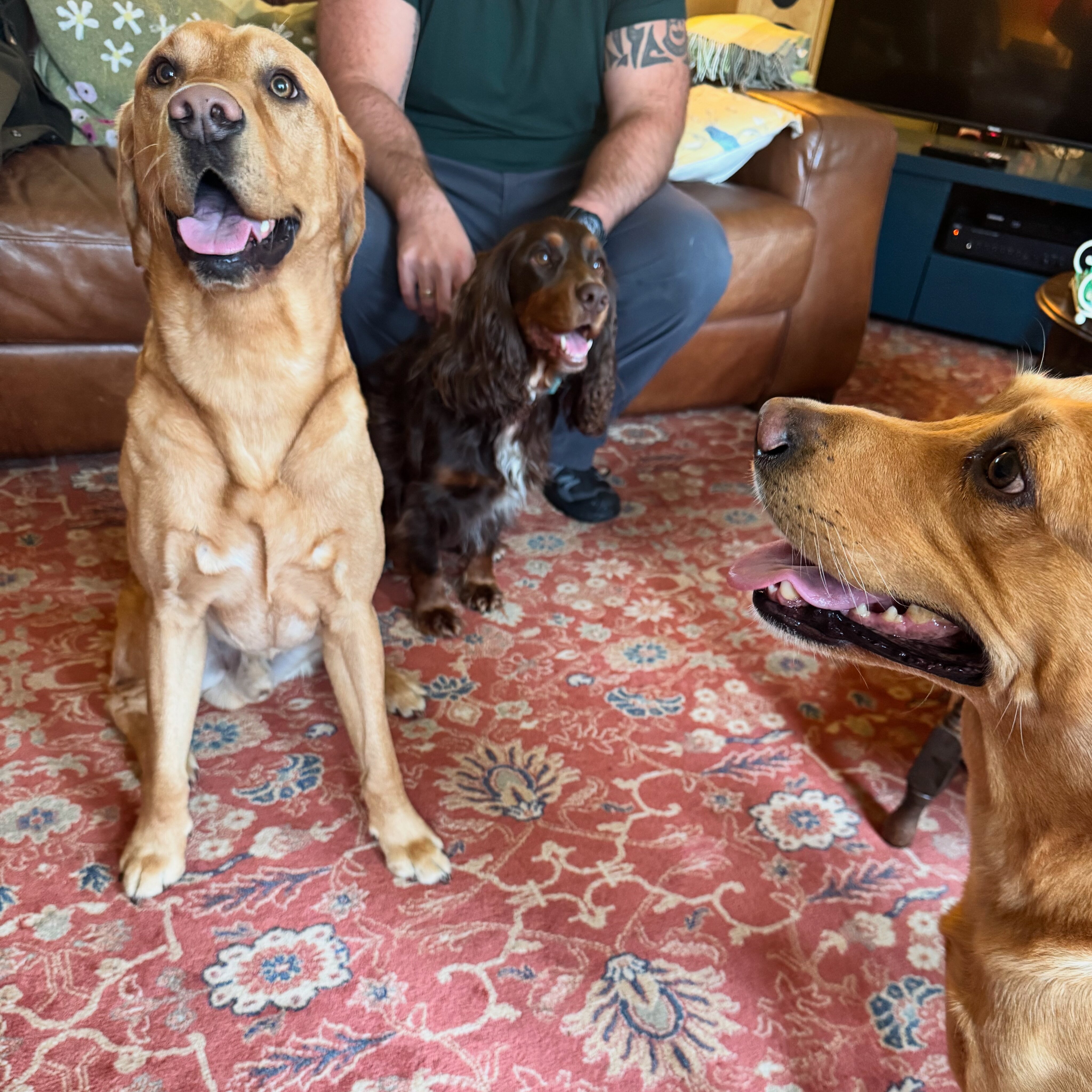 The Mount B&B-浴室