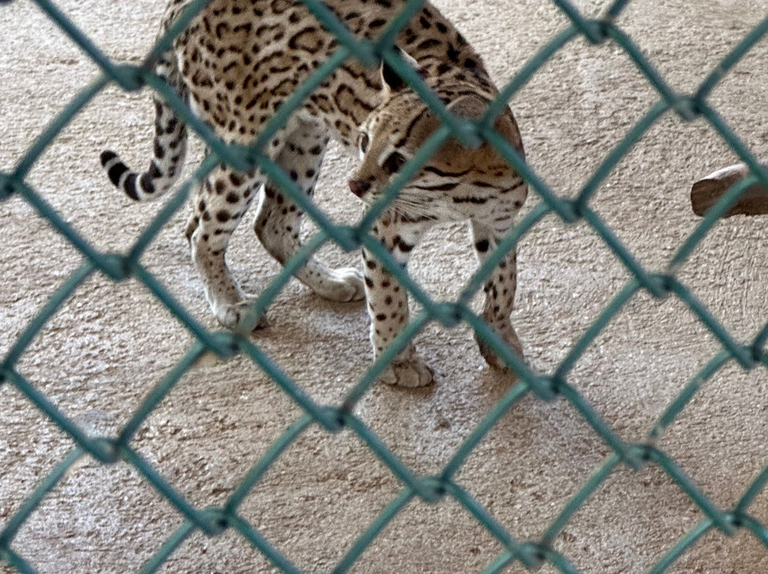 Philip's Animal Garden-Noord必去景点