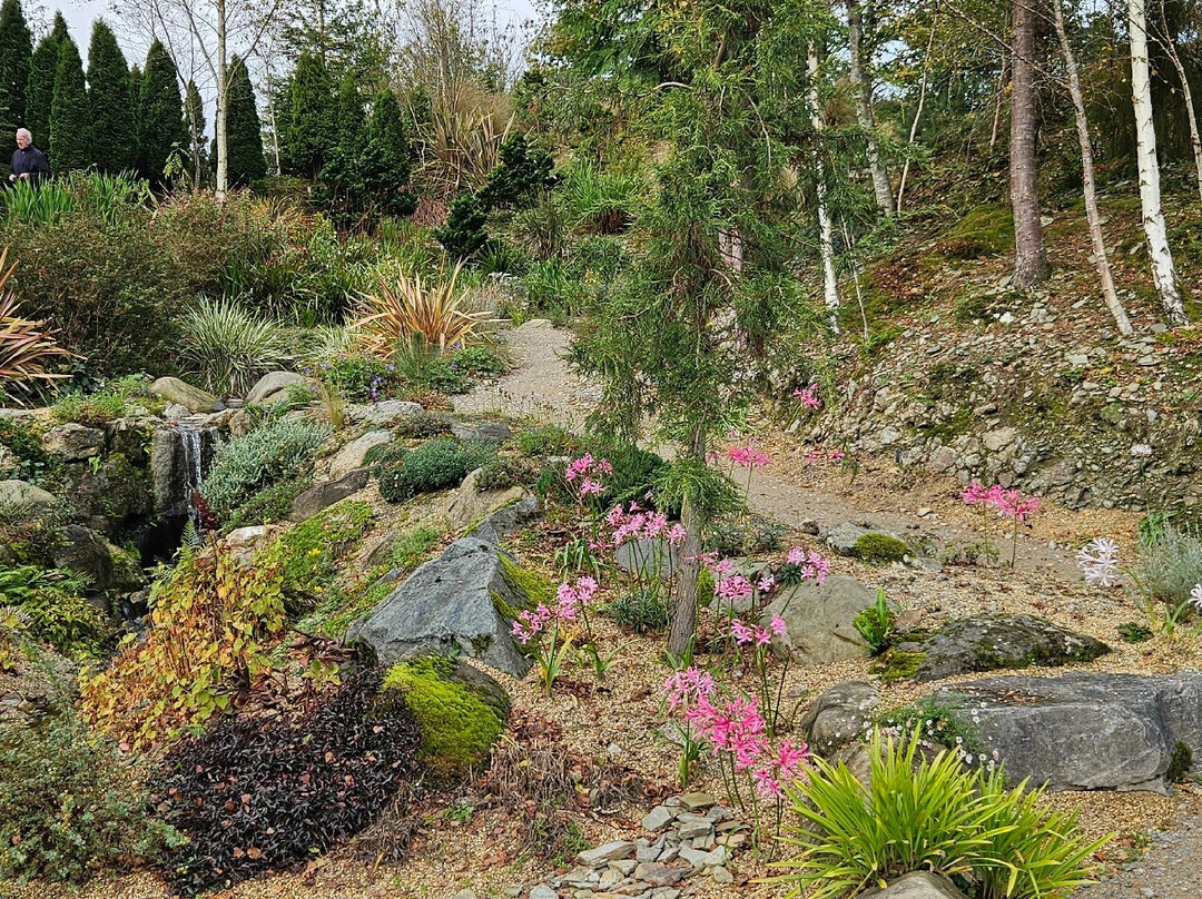 Wiley At Wildside-Tavistock必去景点