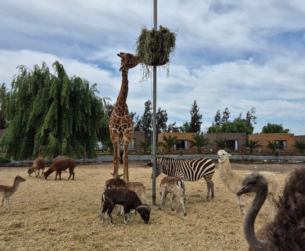 Parque Safari-兰卡瓜必去景点
