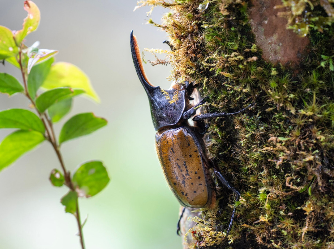 Costa Rica Focus-圣何塞必去景点