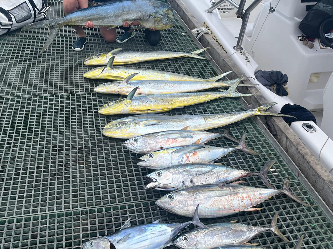 Fish Whisperer-黑河必去景点