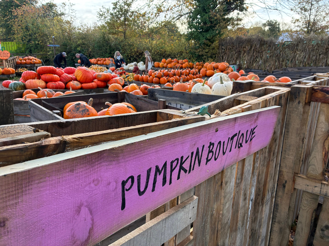 Crockford Bridge Farm-Addlestone必去景点