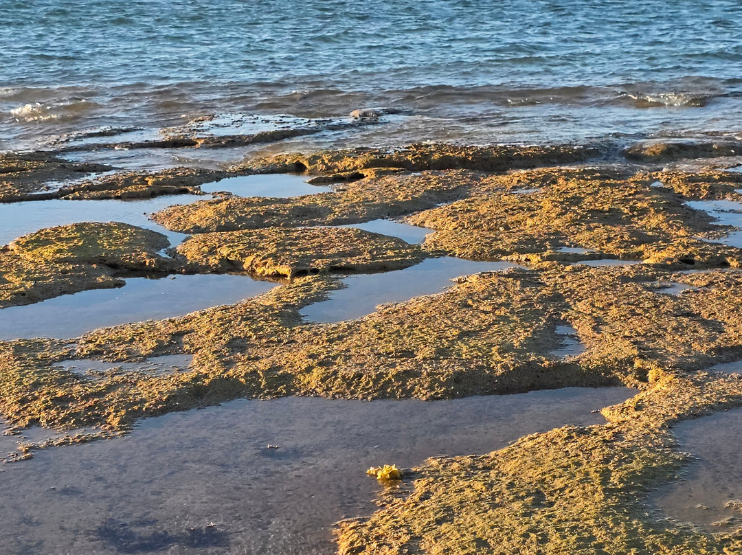 Mackerel Islands主图