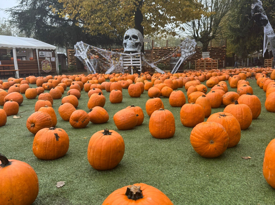 Il Villaggio Delle Zucche-San Martino Siccomario必去景点