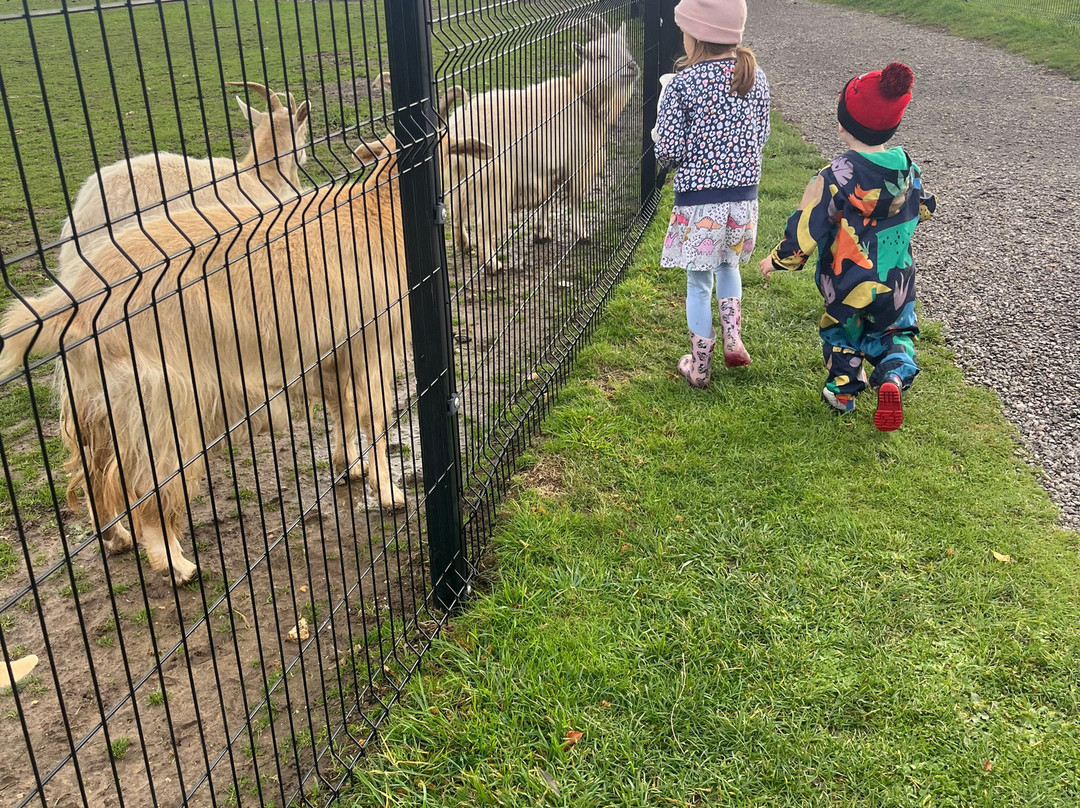 Ashlyns Wildlife Park-North Weald必去景点