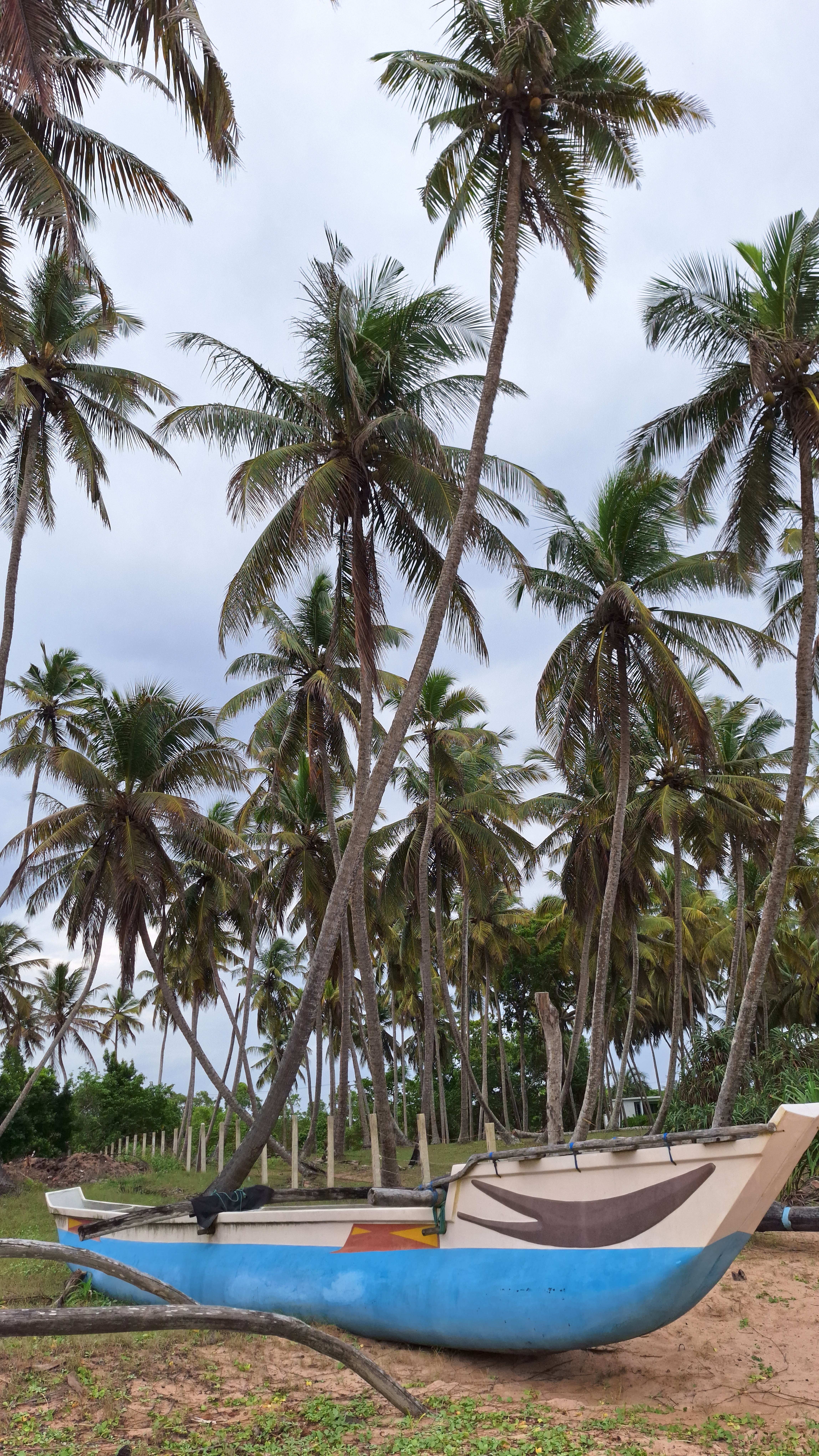 Seven Turtles Resort-官方