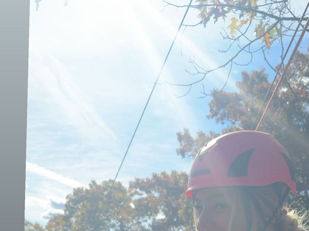 Smoky Mountain Ziplines-皮金福奇必去景点