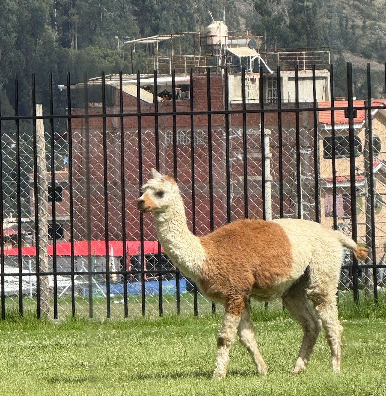 Real Hotel Huascaran主图