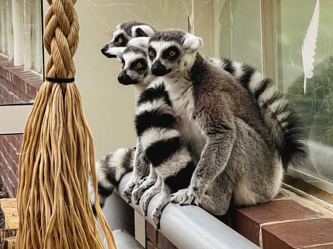 Palmiarnia Walbrzych-Walbrzych必去景点