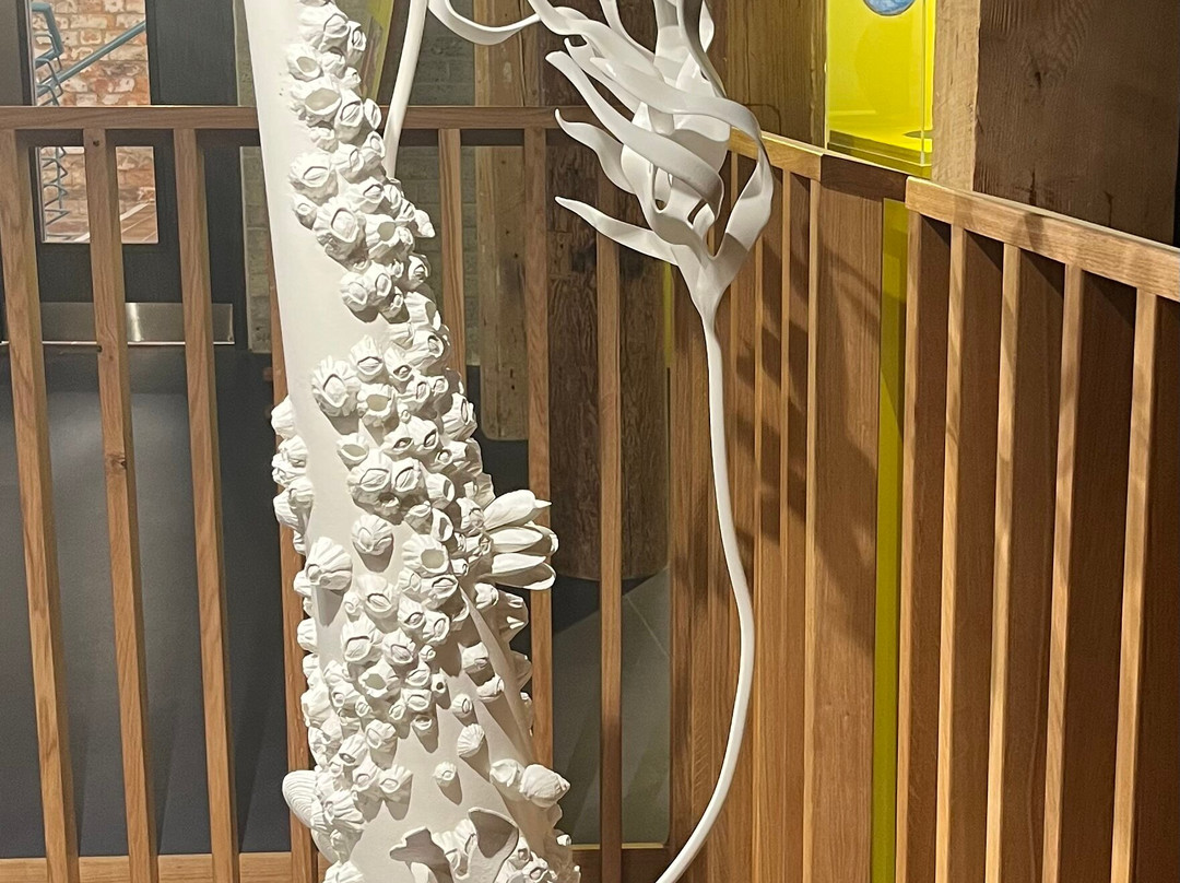 Poole Museum-普尔必去景点