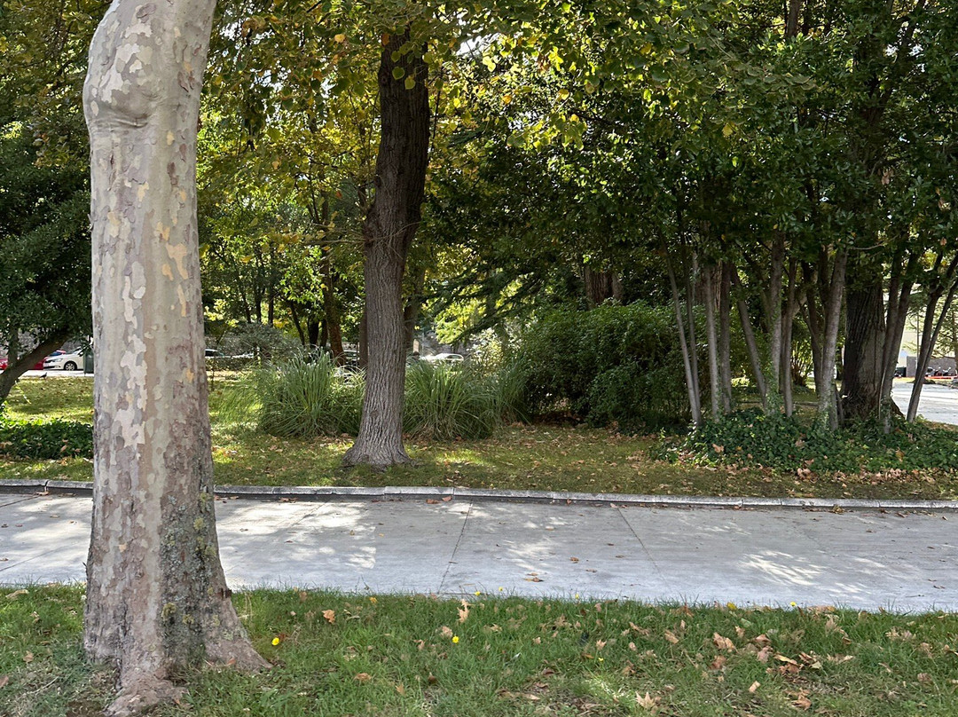 Perivoj kraljice Jelene Madijevke-扎达尔必去景点