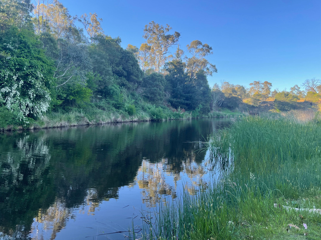 Livingstone Park-Omeo必去景点