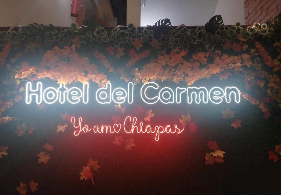 Hotel Del Carmen主图