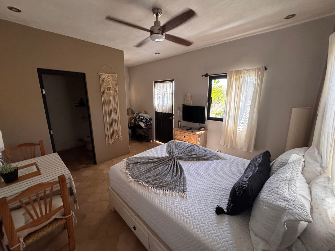 Pure Baja Suites & Retreats主图