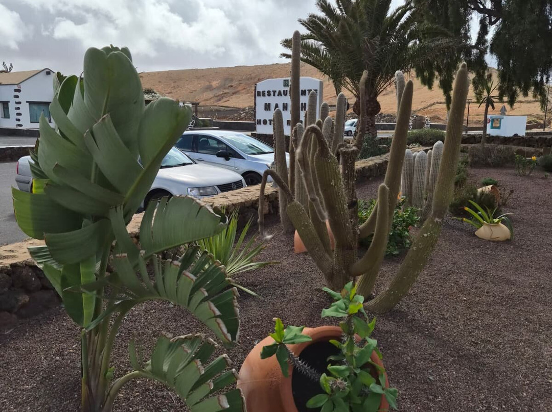 Hotel Rural Mahoh主图