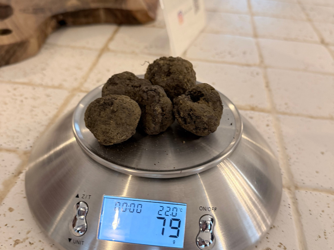 Truffle in Tuscany-圣米尼亚托必去景点