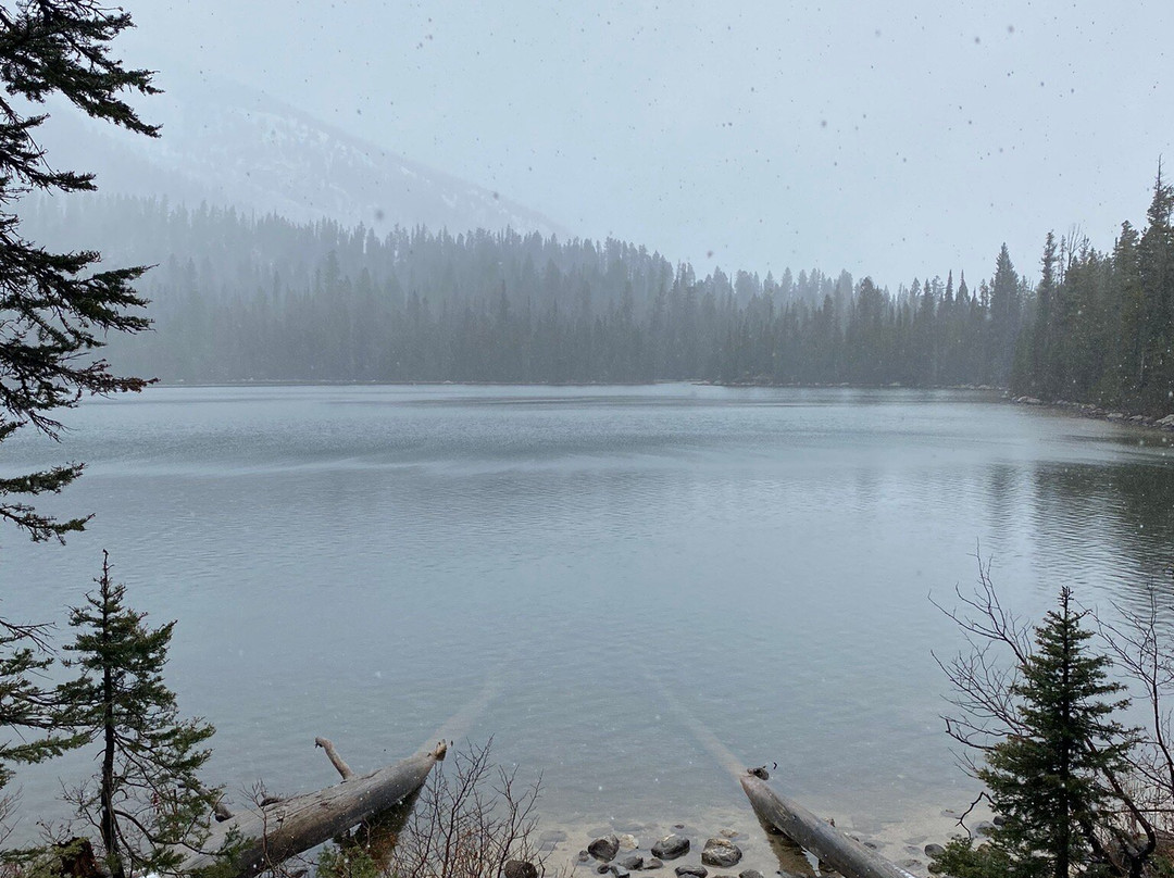Taggart Lake-大提顿国家公园必去景点