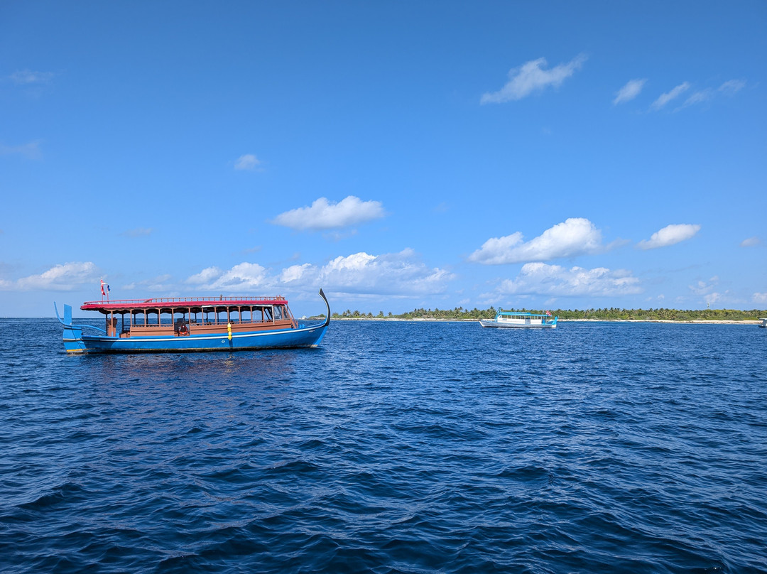 Euro-Divers Kurumba-库鲁巴椰子岛必去景点
