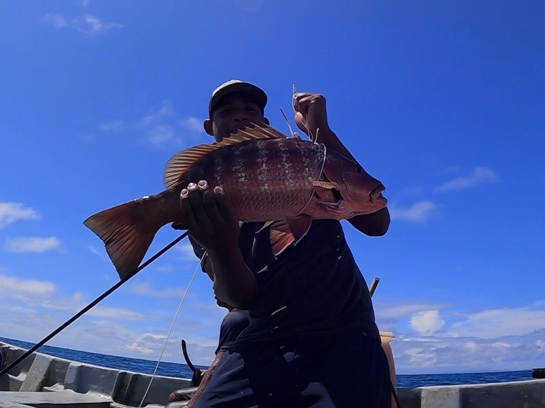 Spearbaby-Santa Catalina必去景点