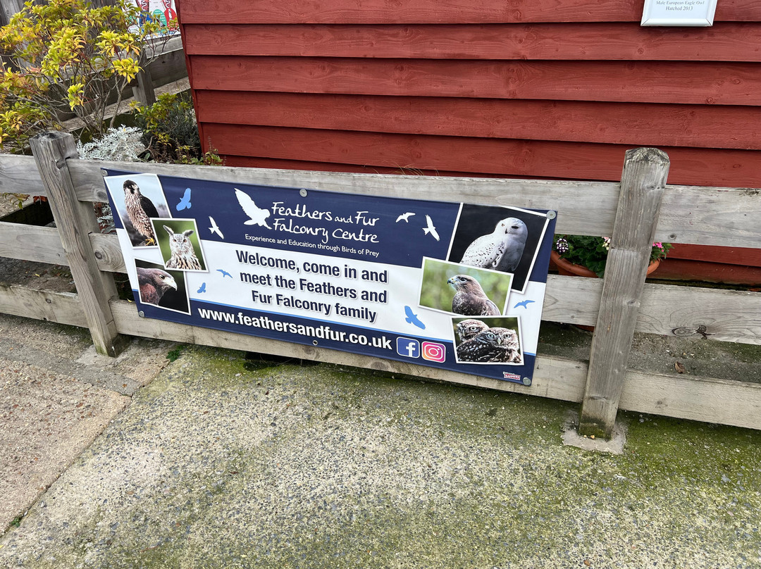 Feathers and Fur Falconry Centre-布拉克内尔必去景点