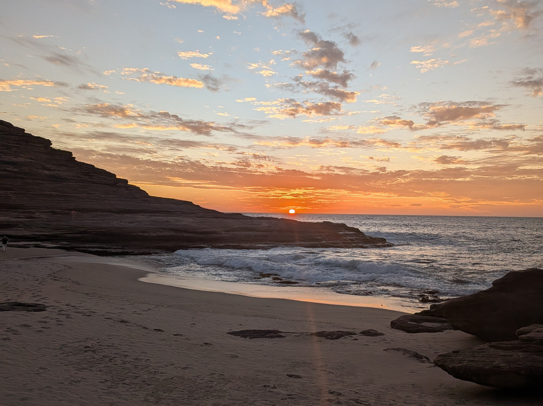 Why Not Bus-珀斯必去景点