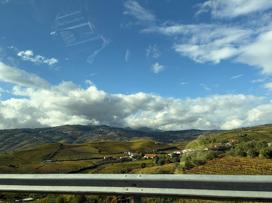 Douro Táxi-佩苏达雷瓜必去景点
