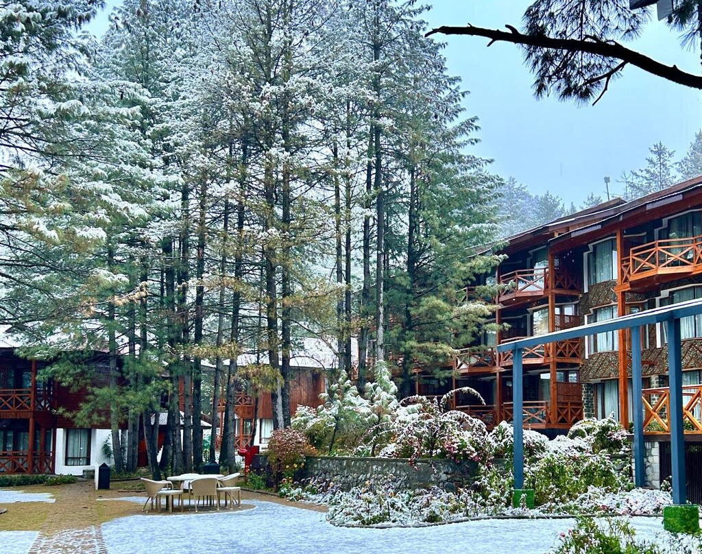 Welcomhotel By Itc Hotels, Pine N Peak主图