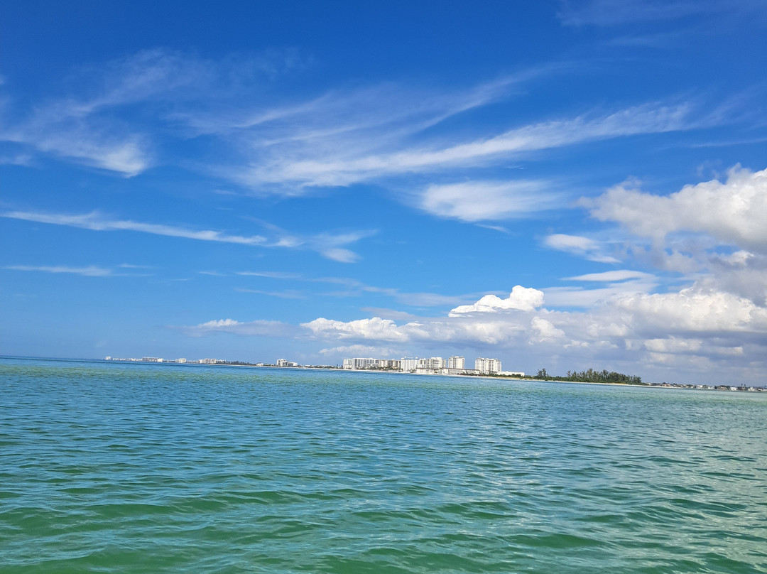 Suncoast Adventure Tours And Charters-Osprey必去景点