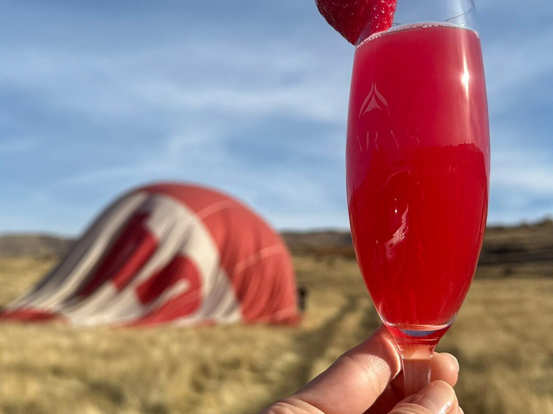 Balloon Ride Skyball-埃里温必去景点