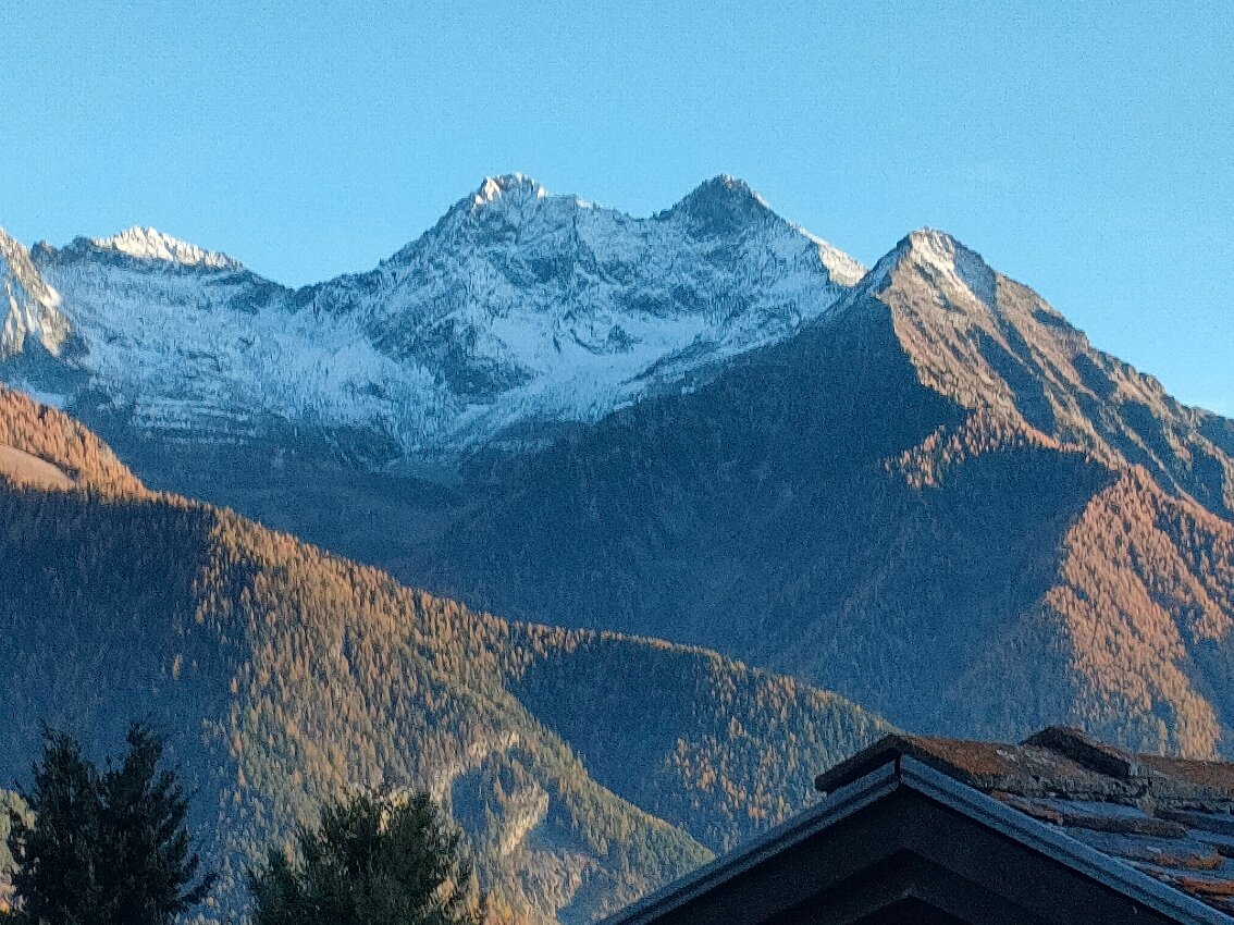 Foyer d'Antan-官方