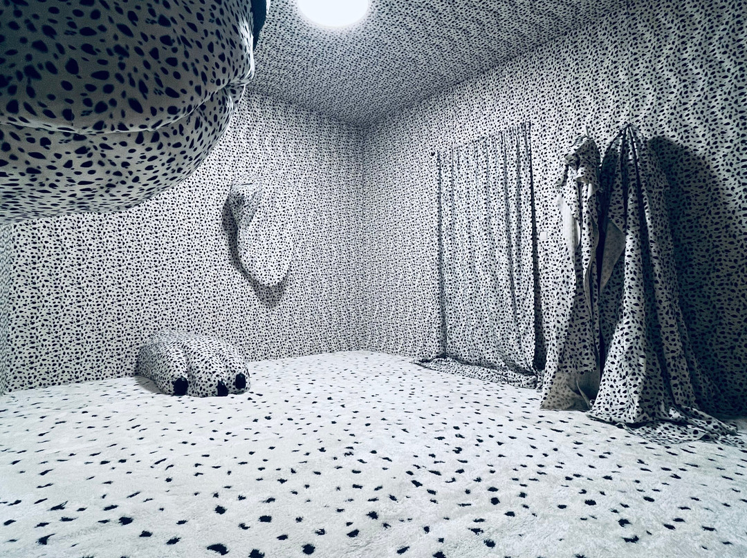 Home Of The Dalmatian Dog-希贝尼克必去景点