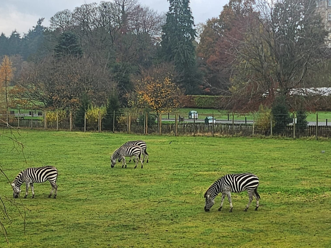 Blair Drummond Safari And Adventure Park-斯特灵必去景点