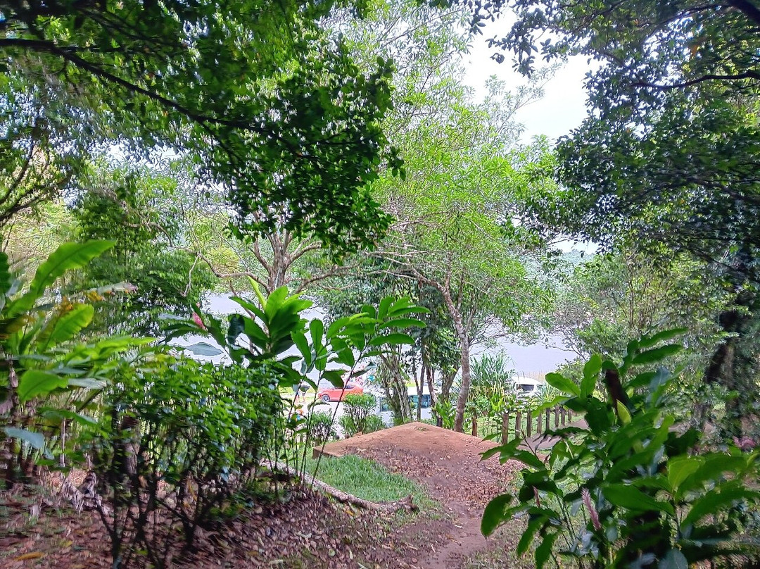 Grand Etang Lake-Grand Etang National Park必去景点