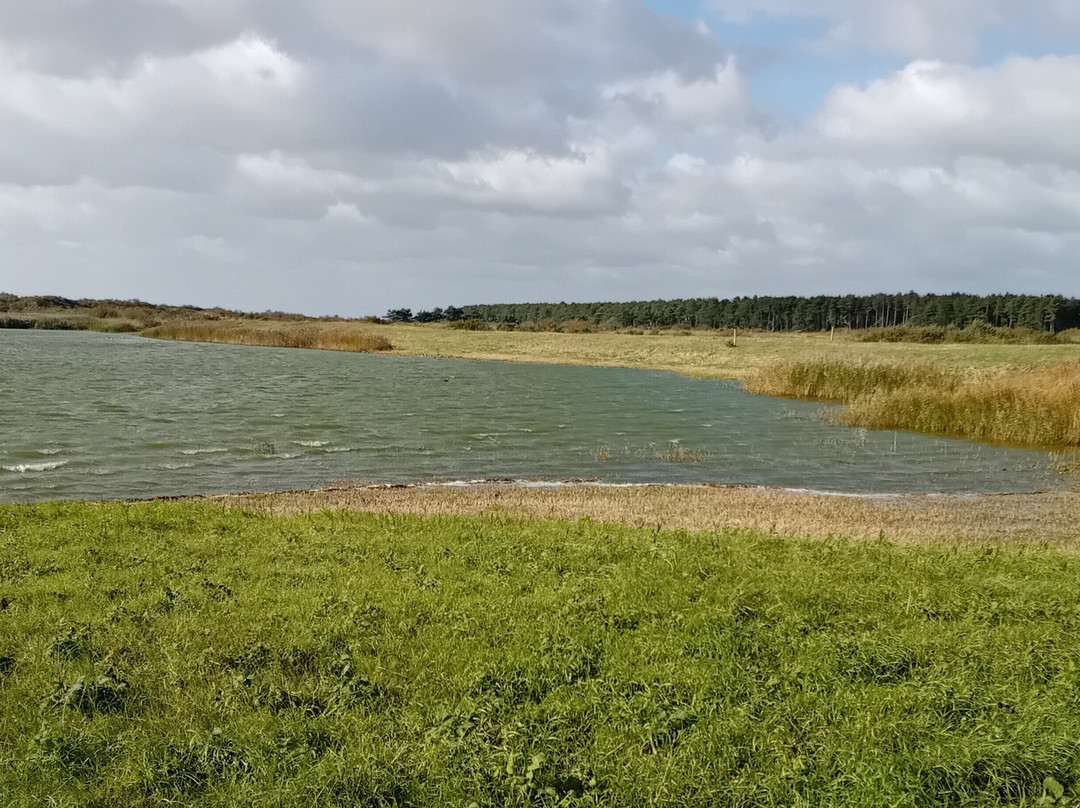 Parc du Marquenterre-Saint-Quentin-en-Tourmont必去景点