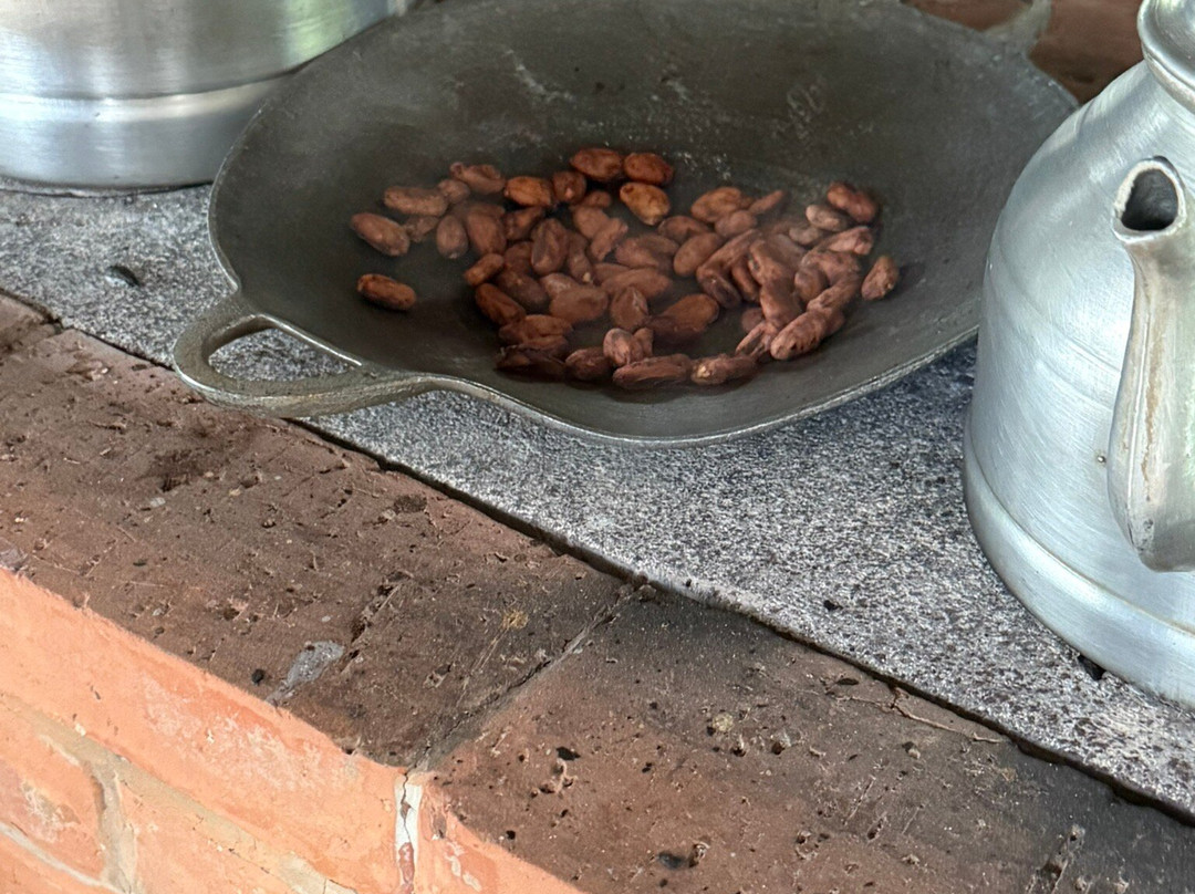 Cafe & Cacao Tour Bijagua-Bijagua de Upala必去景点