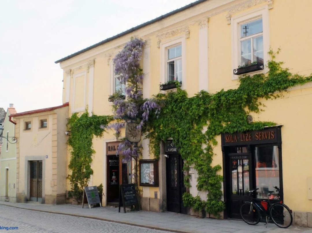 Penzion Kamenne Slunce主图