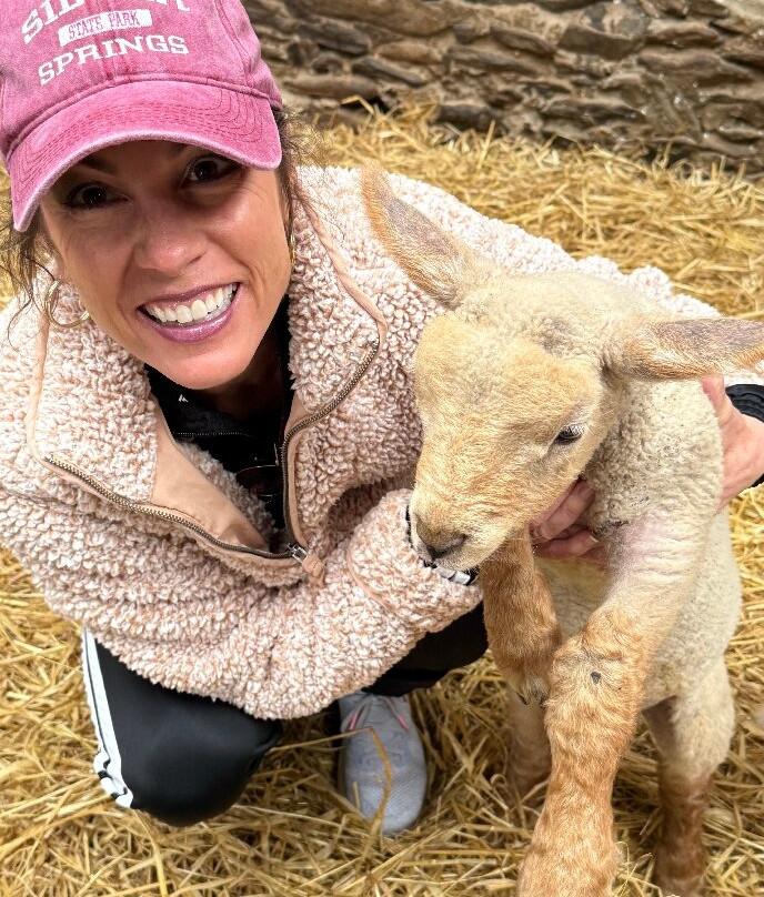 Hold A Baby Lamb-Glanfahan必去景点