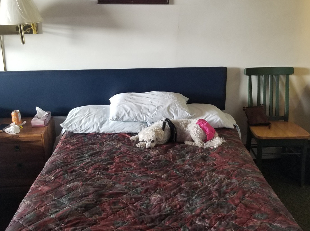 大卡什酒店住宿-Big Horn Inn